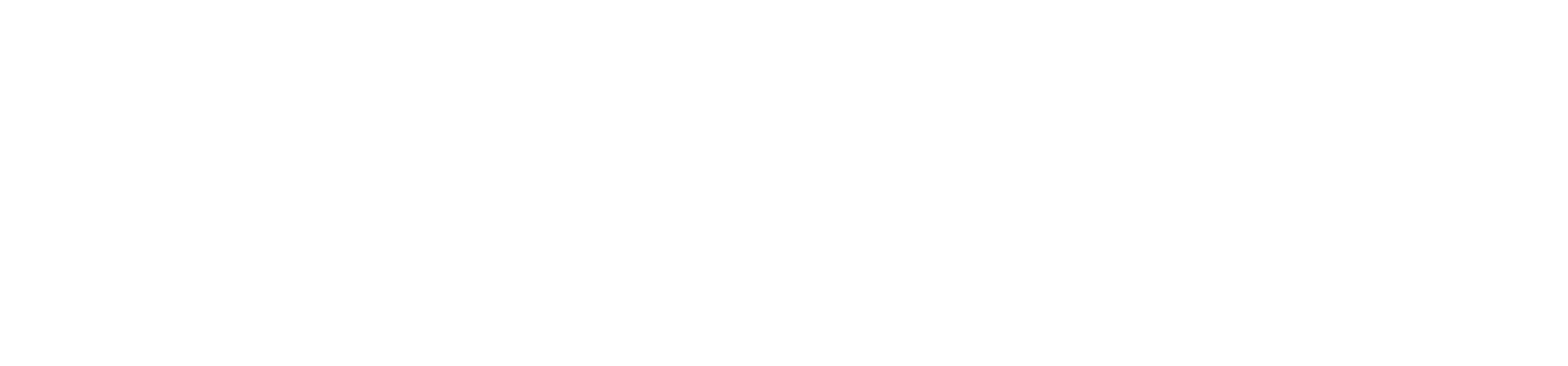 DRIVEPLUS